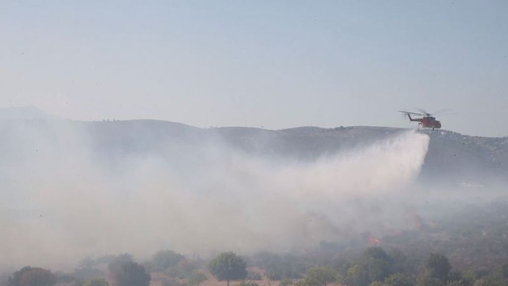 Kanaderi gase požar (Foto: Dnevnik.hr)