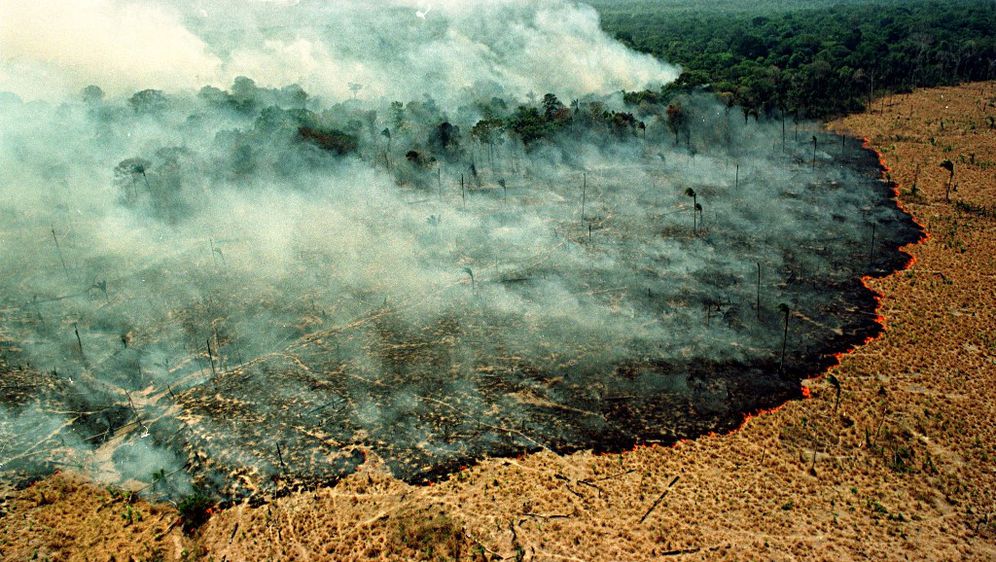 Požar u Amazonskoj prašumi (Foto: AFP)