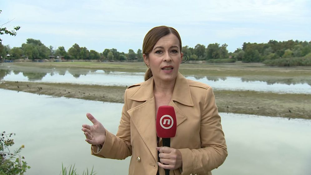 Josipa Krajinović