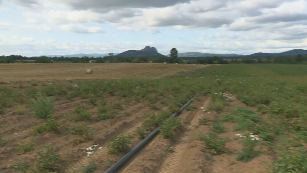 Posljedice suše u Lici - 2