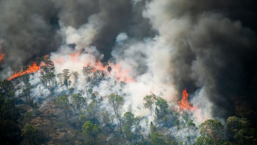 Požari u Amazoniji, ilustracija