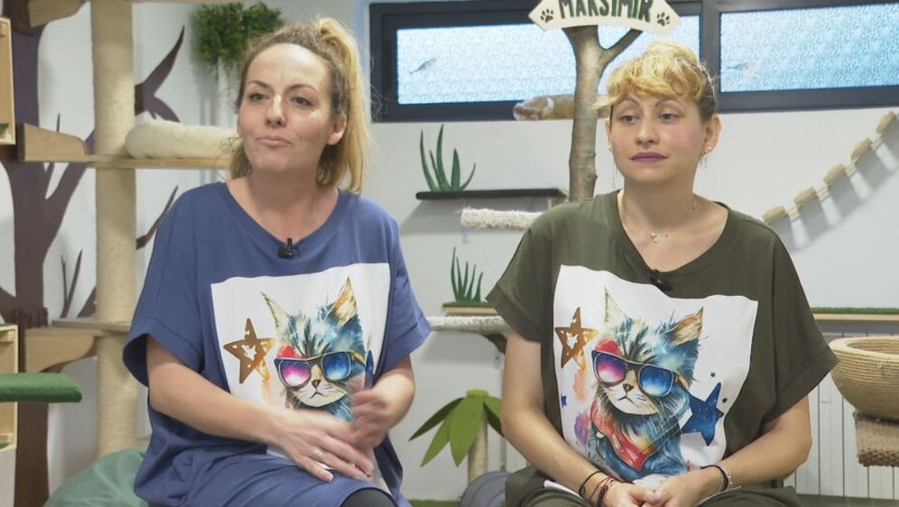 In Magazin: Mačji hotel