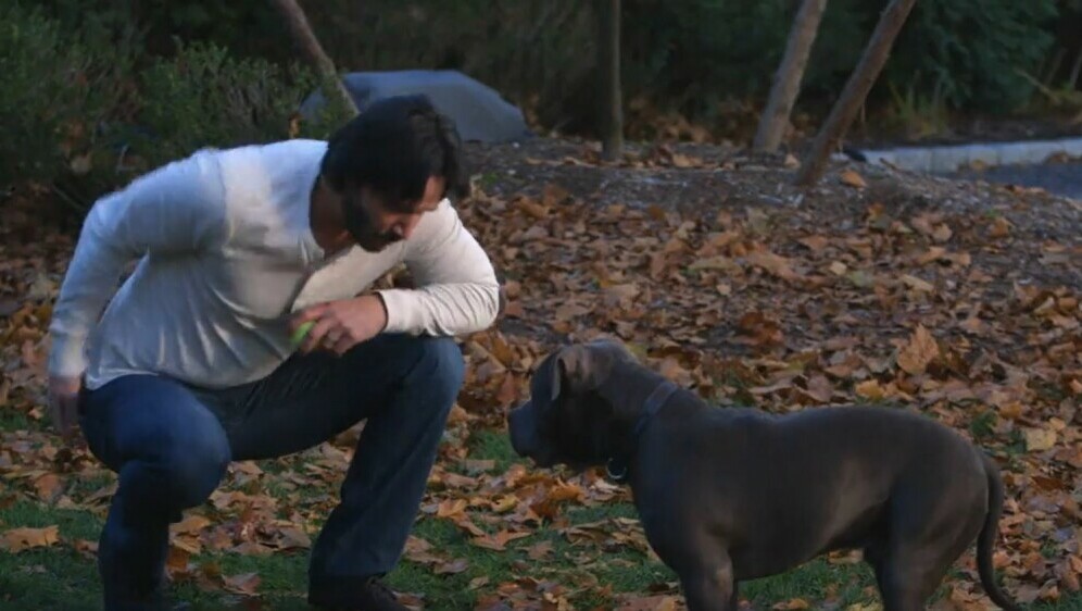 In Magazin: najprizemljenije zvijezde - 3