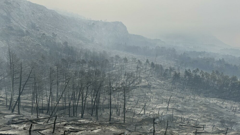 Opožareno područje Parka prirode Biokovo - 1