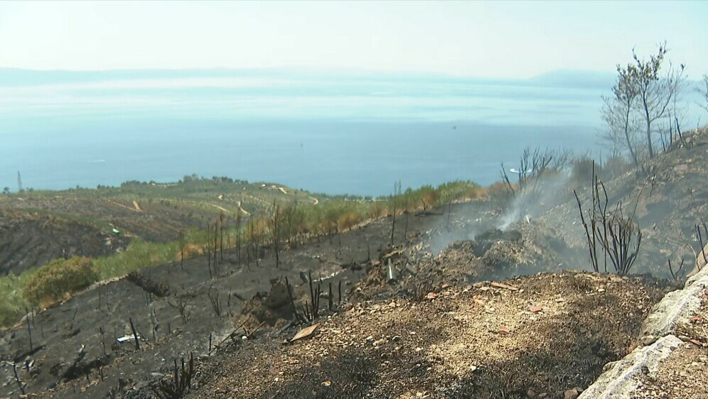 Požar u Tučepima - 1