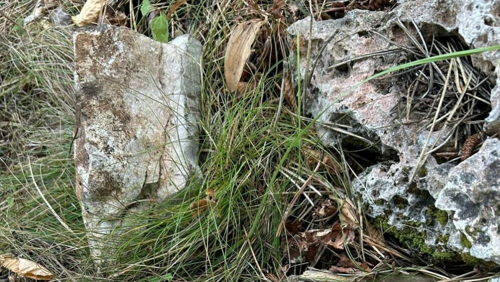 DVD Drenovo - 1
