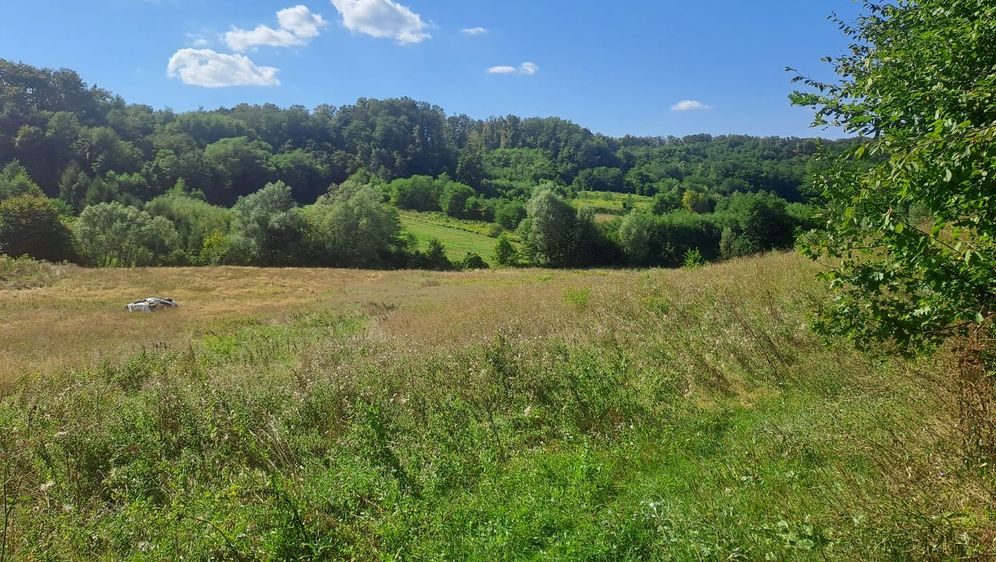 Turopoljska trail utrka Ključić brdo - 1