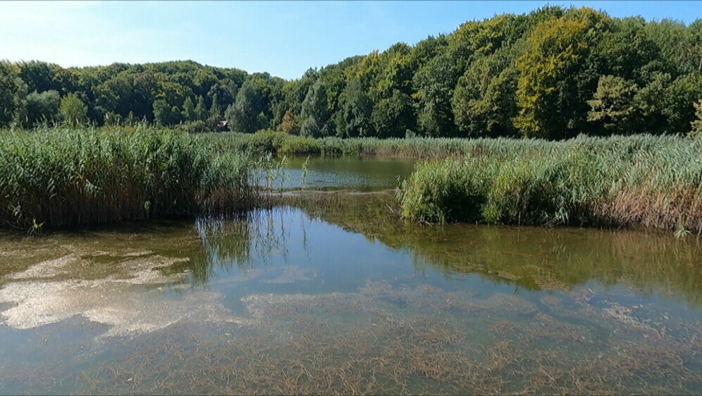 Sovsko jezero - 4