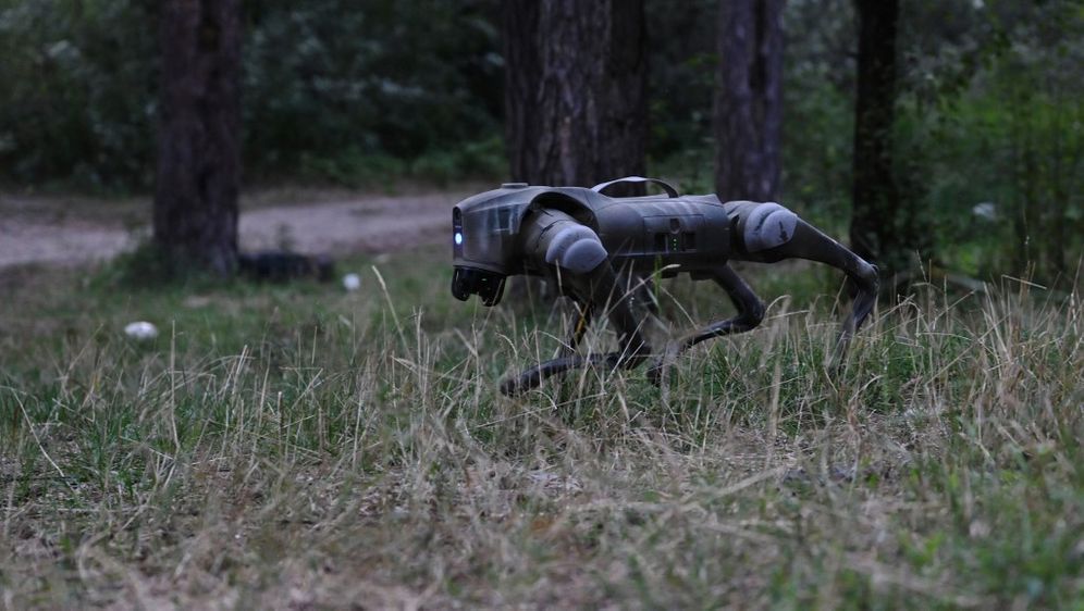 Ukrajinski robotski pas