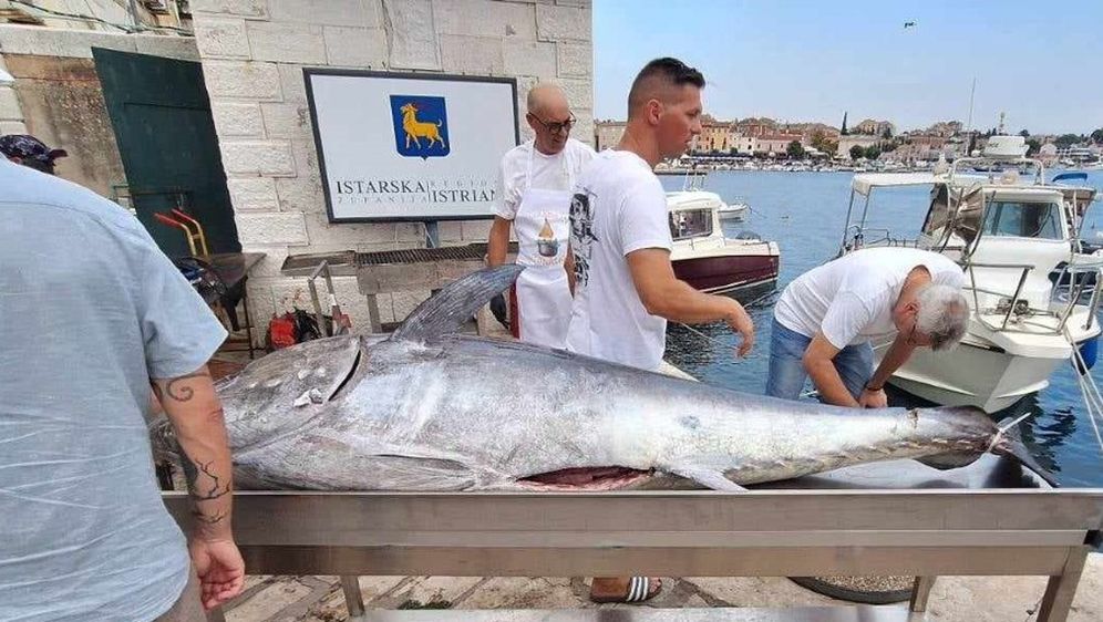 Tuna fest Rovinj - 1