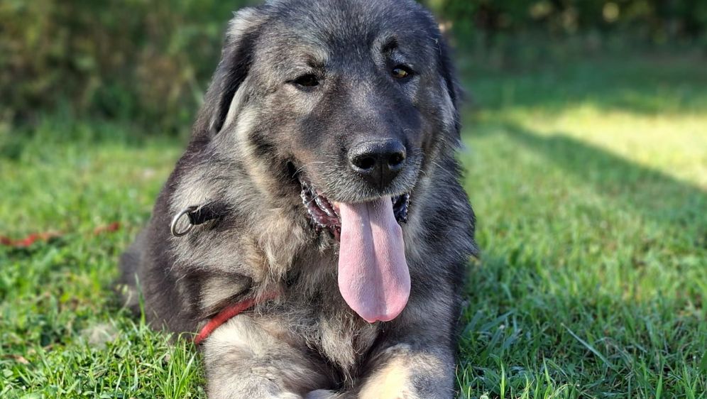 Prvi Dumovečki buvljak održat će se u petak - 4