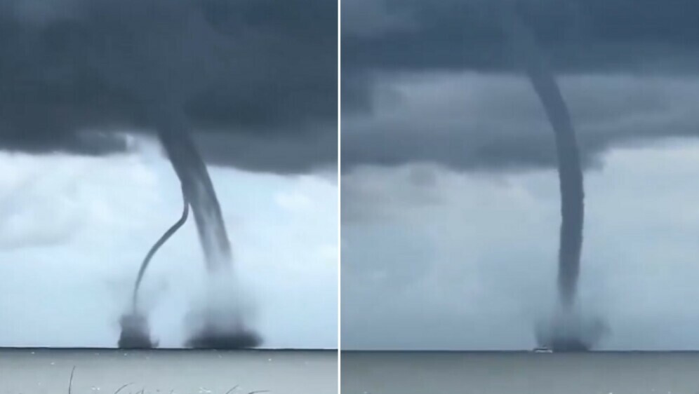 Pijavica u Jadranskom moru