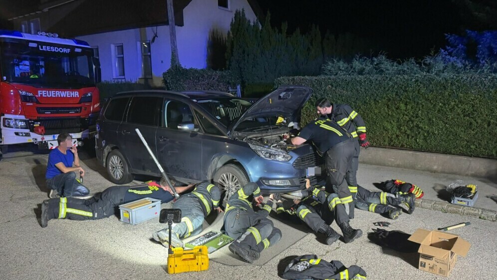 Austrijski vatrogasci spasili su mačku iz motora automobila - 1