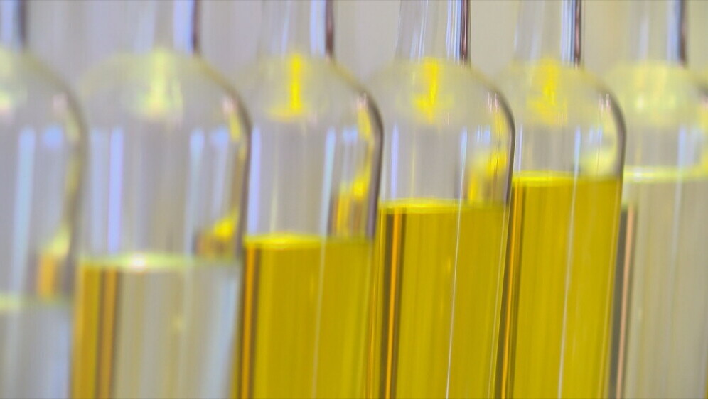 Cijene maslinovog ulja