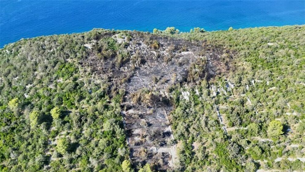 Posljedice požara na Čiovu