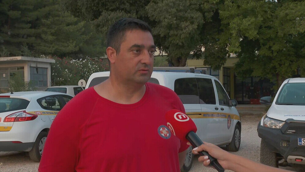 Grgo Puljas, dopročelnik HGSS-a