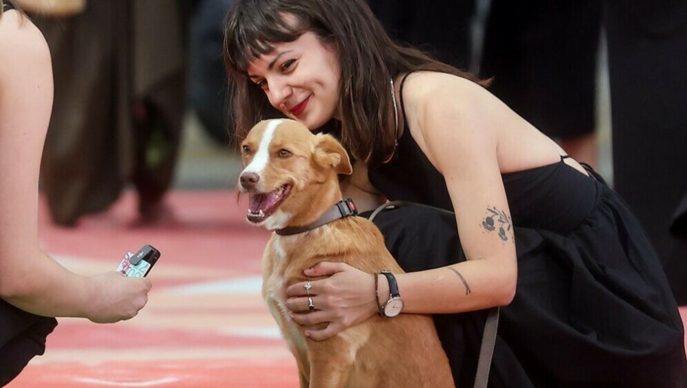 Pas Lija na Sarajevo Film Festivalu - 8