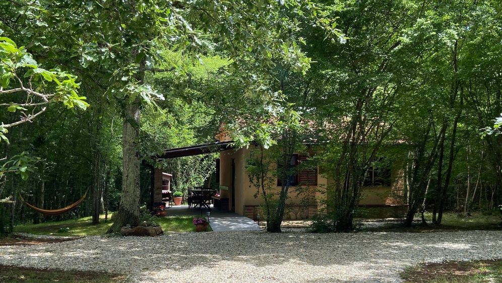 Kućica Noni za robinzonski odmor na Krku, Airbnb - 3