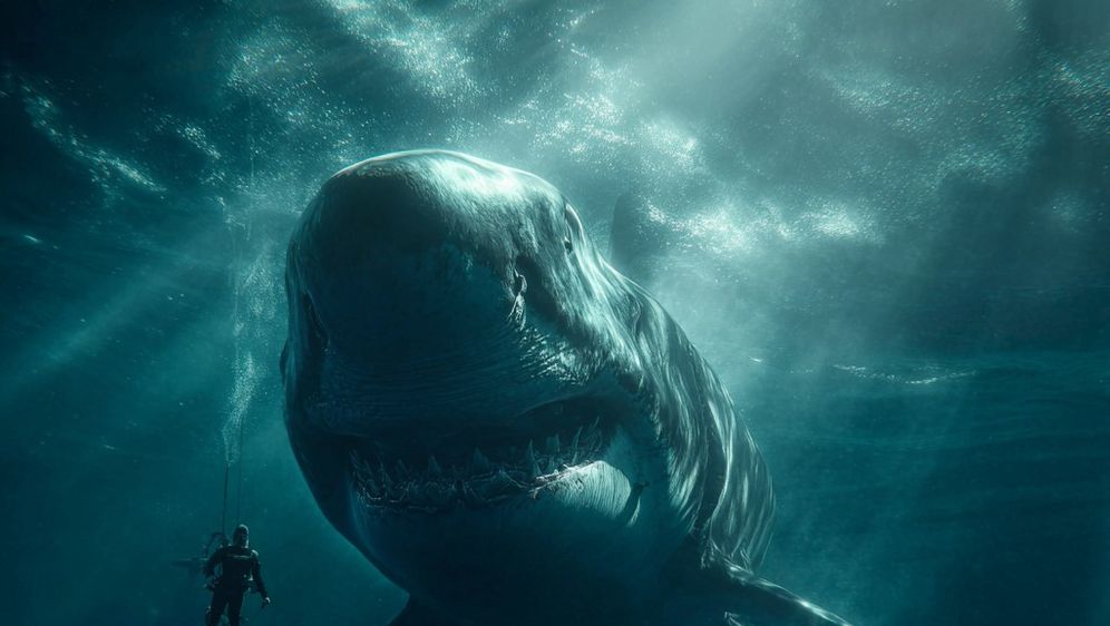 Megalodon/Ilustracija