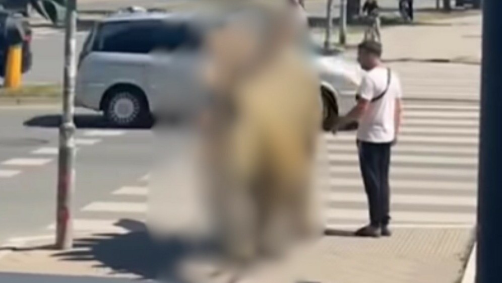 Muškarac kako hoda Srbijom s dinosaurom