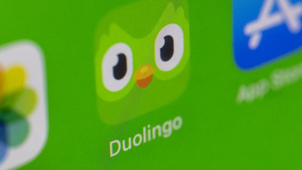 Duolingo, ilustracija