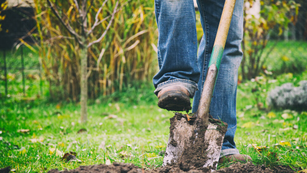 Rad u vrtu, ilustracija