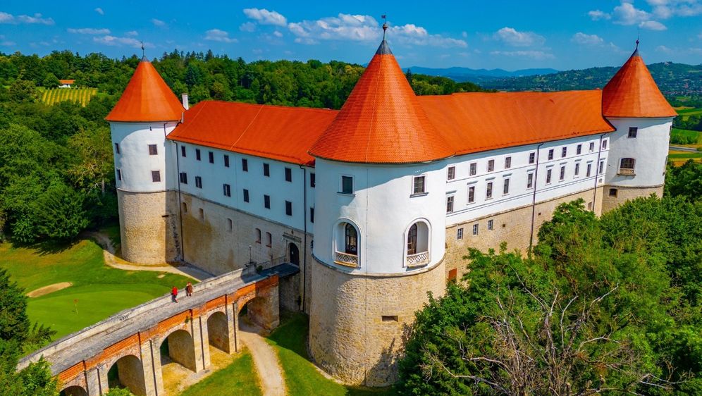 Slovenski dvorci - 1