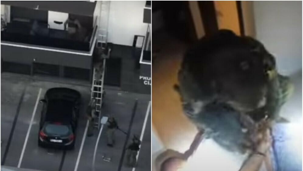 Međunarodna akcija Senia