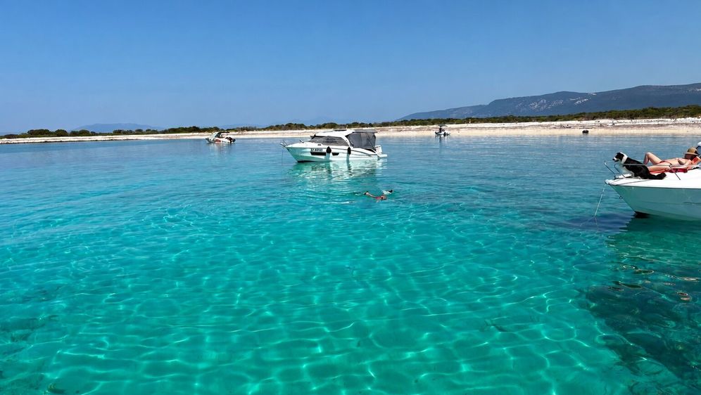 Otok Zeča