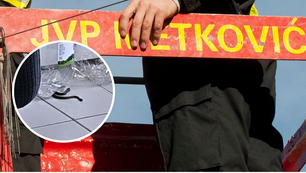 JVP Metković i poskok u kući
