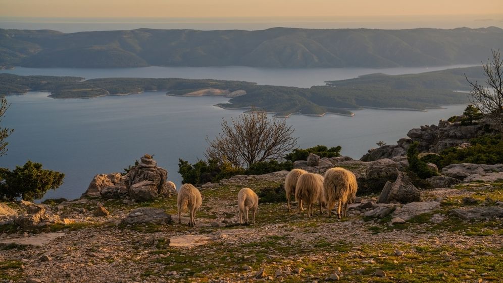 Vidova gora