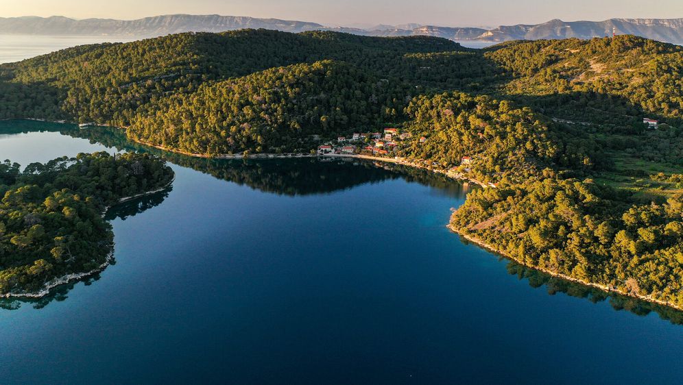 Ekoakcija na Mljetu - 3