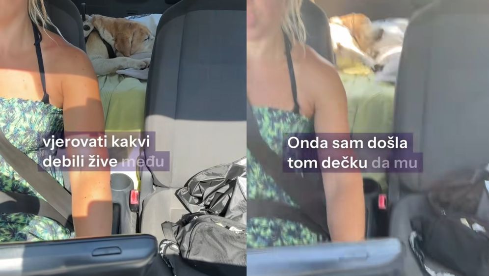 Iskustvo sa pseće plaže