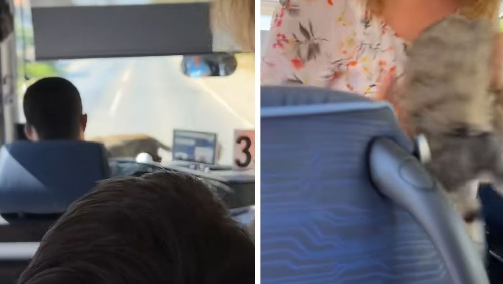 Životinja u autobusu