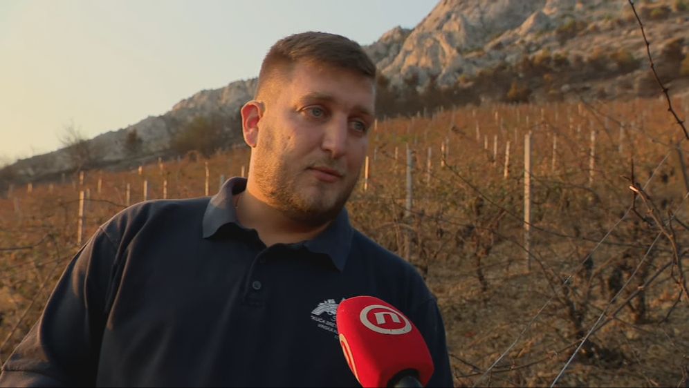 Marko Mimica, vinar
