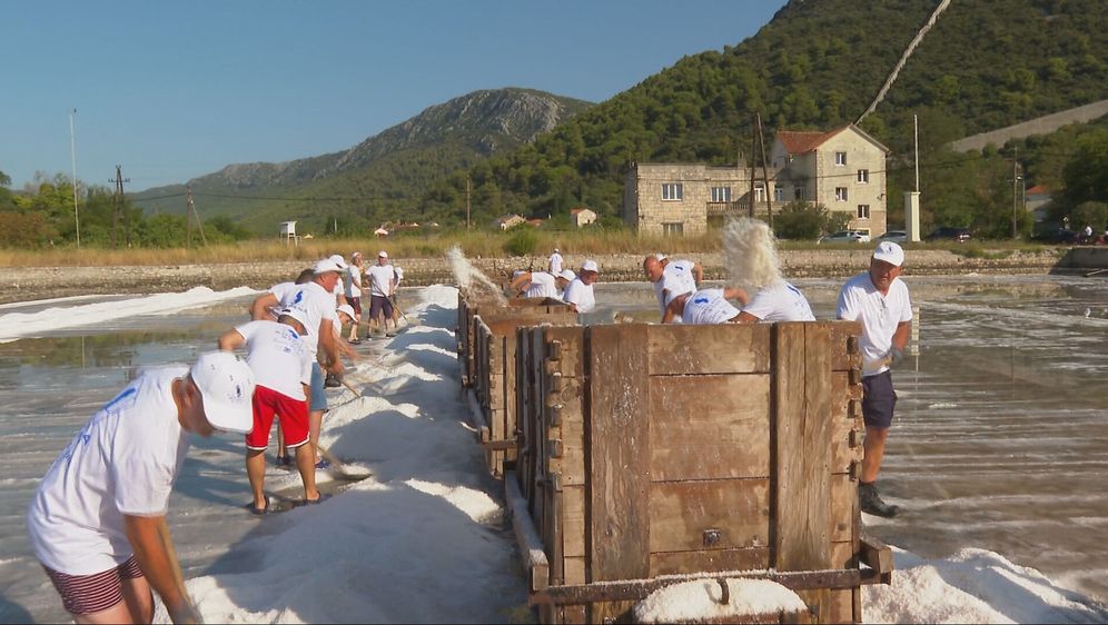 Berba soli u Stonu - 2