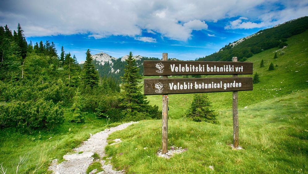 Velebitski botanički vrt - 4