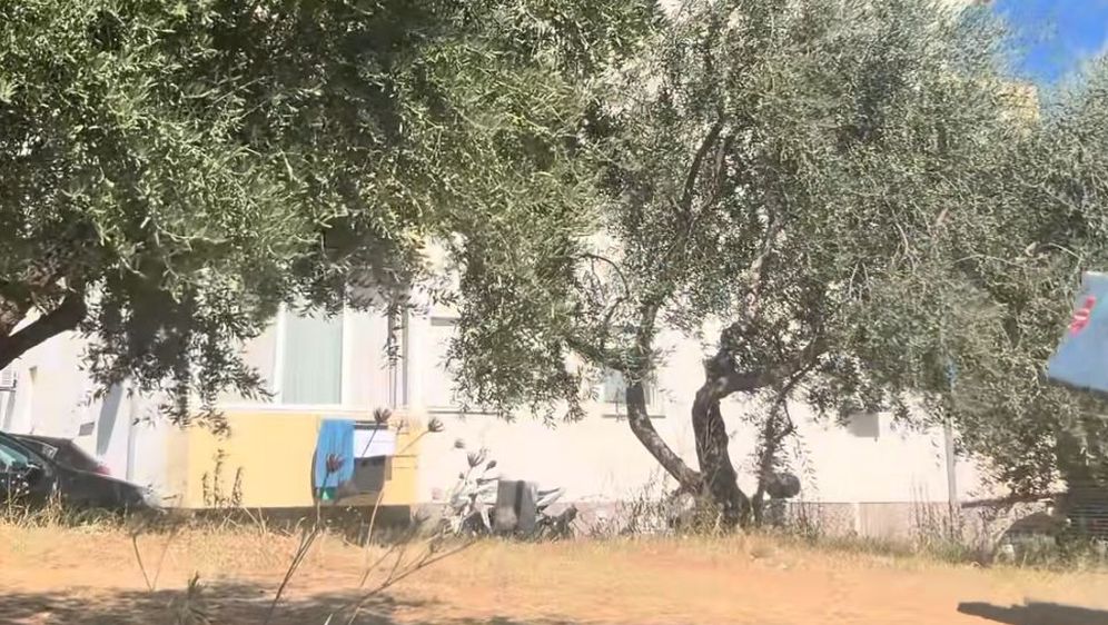 Skeč