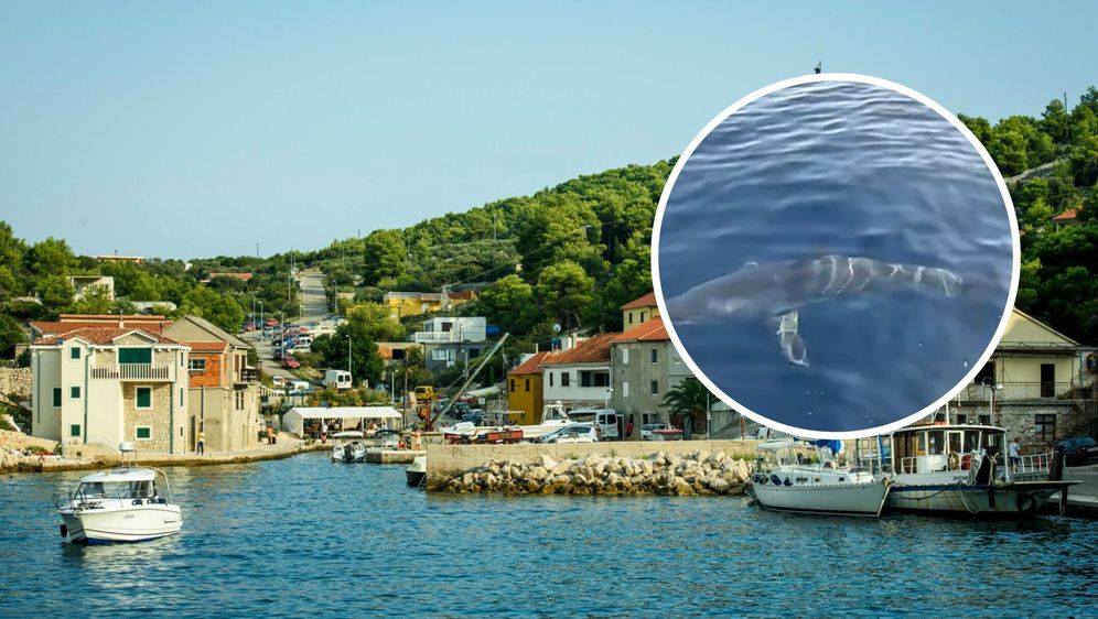 Otok Žirje i snimljeni morski pas
