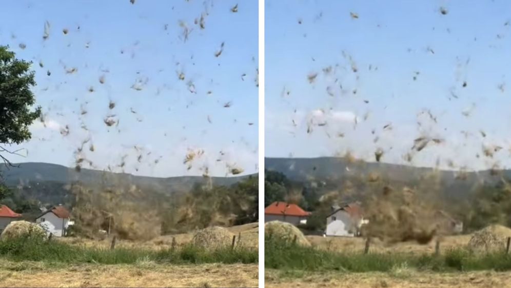 Podizanje trave vjetrom