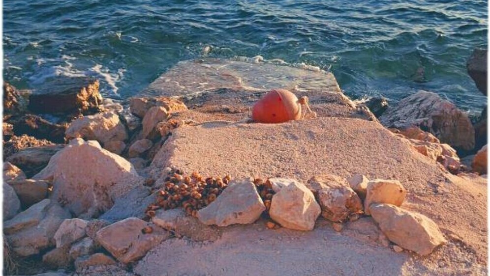 Prizor s plaže