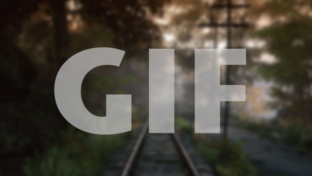 12 super GIF-ova za ovu subotu