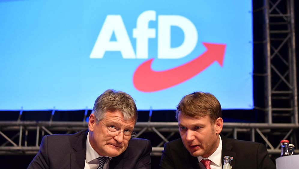 Joerg Meuthen (Foto: AFP)