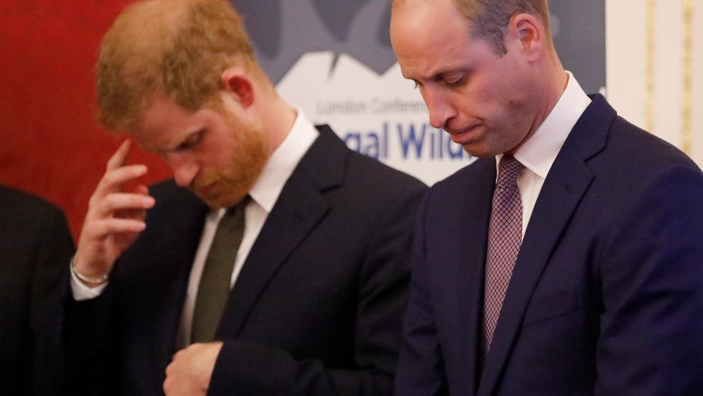 Princ Harry i William (Foto: AFP)