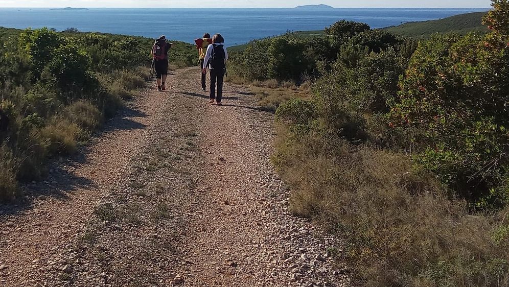 Camino Korčula - 6