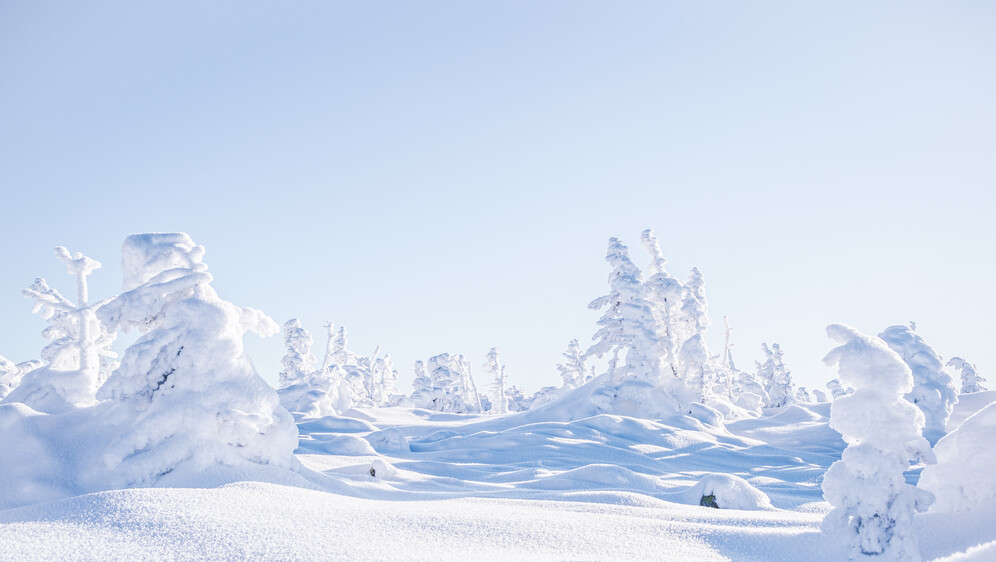 Kako se piše: bijelji ili bjelji