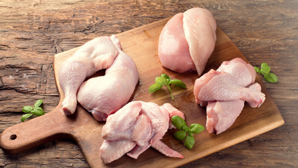 Piletina, ilustracija