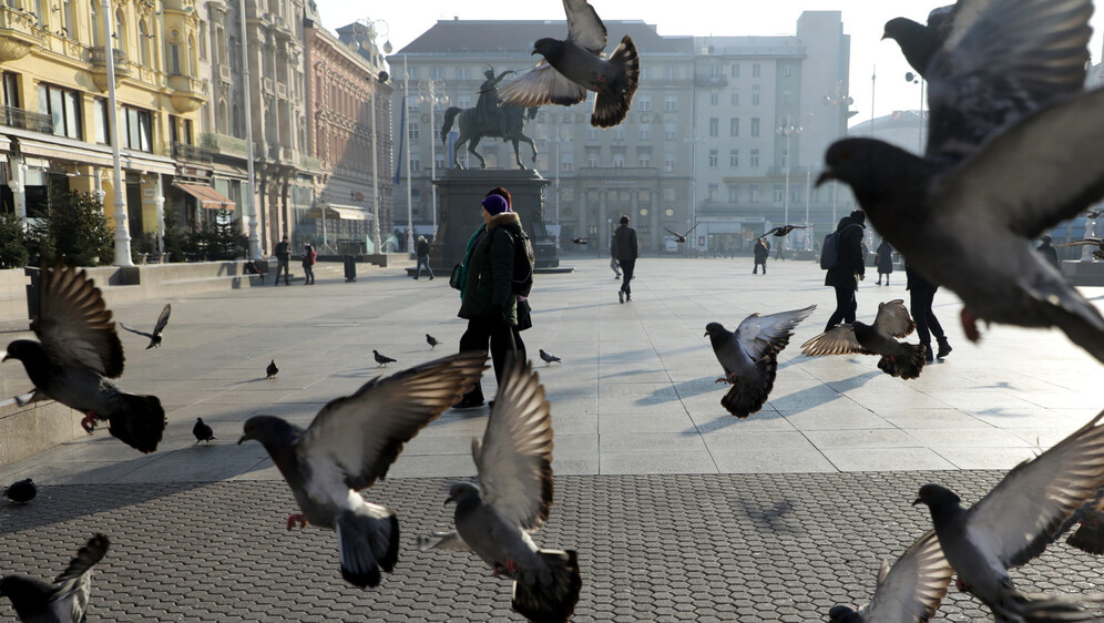 Golubovi, ilustracija