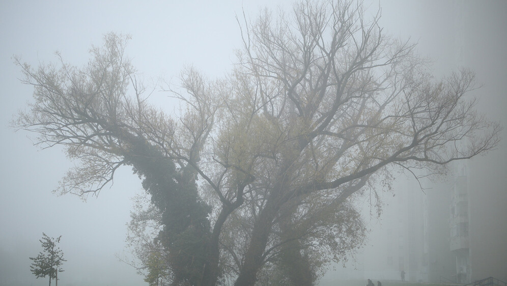 Magla na Srednjacima, ilustracija