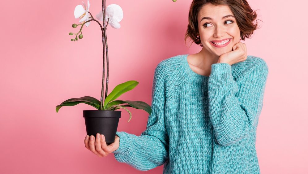 Pronašli smo poklone za dame koje vole orhideje